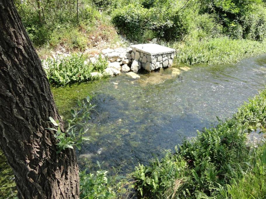 Water Spring Villa Hrvace Dış mekan fotoğraf