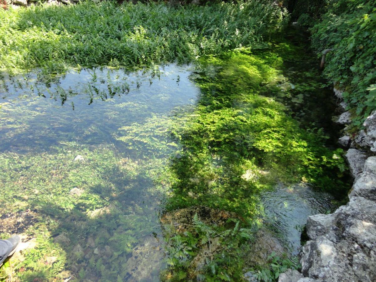 Water Spring Villa Hrvace Dış mekan fotoğraf